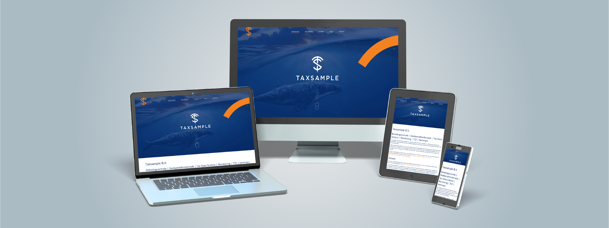 Tax sample web slide_Tekengebied 1